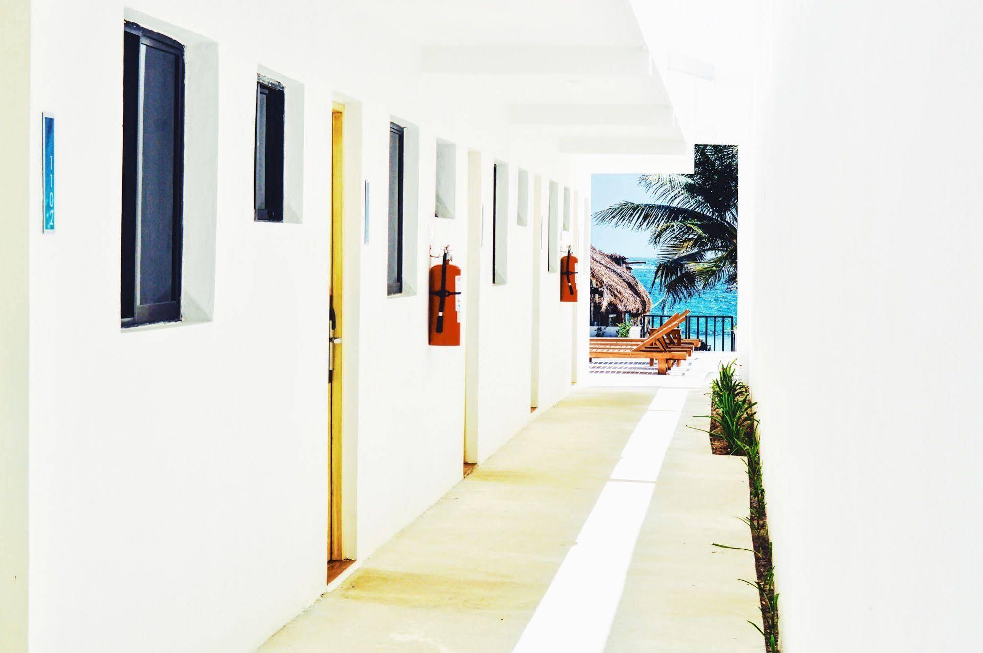 Cielo Beach Hotel Puerto Morelos 莫雷洛斯港 外观 照片